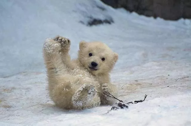 The best photos taken ever - #2 