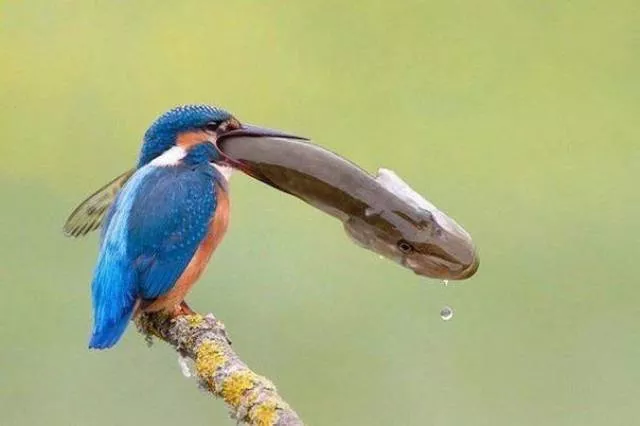 The best photos taken ever - #20 