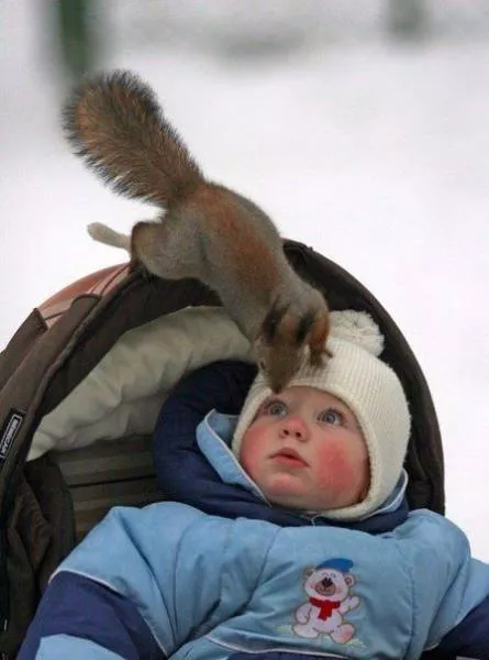 The best photos taken ever