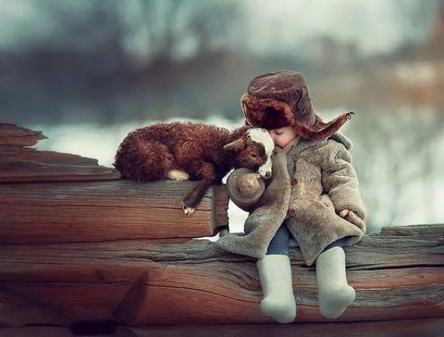 Les meilleures prises de photos jamais vus - #27 Les meilleures prises de photos jamais vus - #27