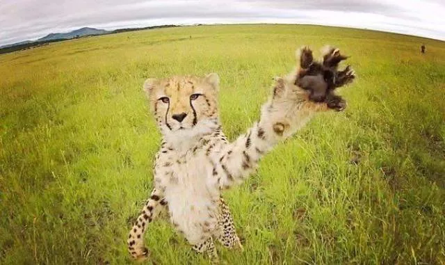 The best photos taken ever - #28 