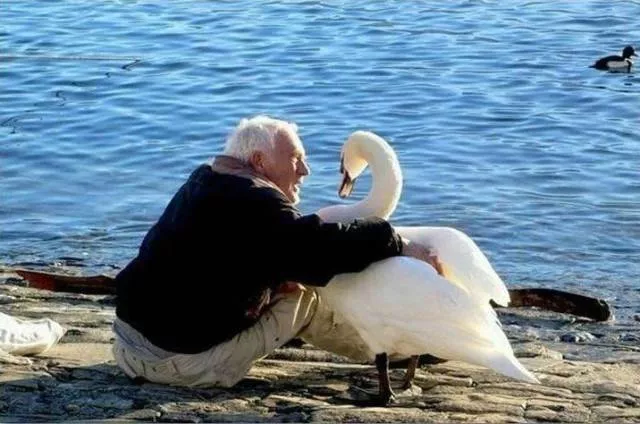 The best photos taken ever - #31 