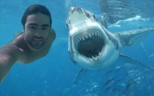 Les meilleures prises de photos jamais vus - #32 Les meilleures prises de photos jamais vus - #32