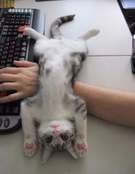 The best photos taken ever - #34 