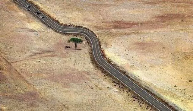 The best photos taken ever - #36 