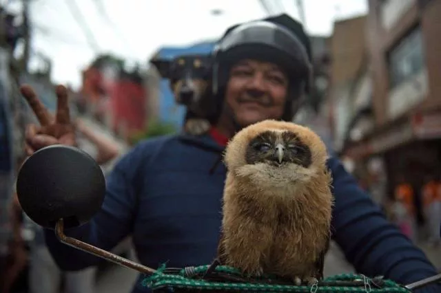Les meilleures prises de photos jamais vus - #40 Les meilleures prises de photos jamais vus - #40