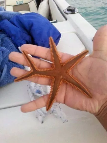 Les meilleures prises de photos jamais vus - #43 