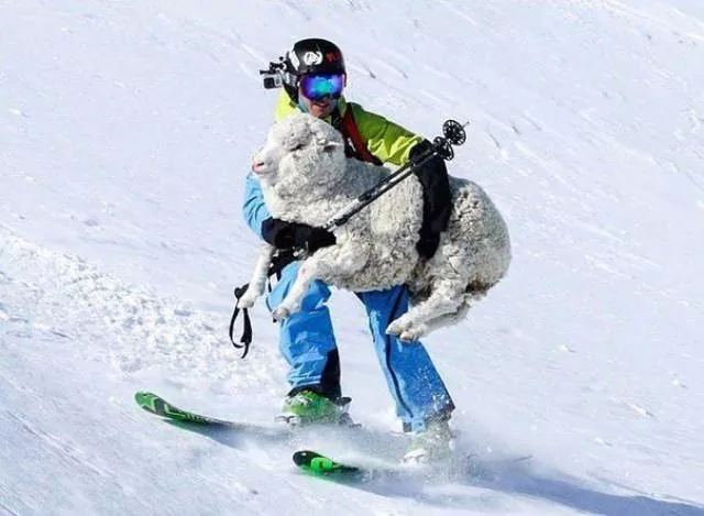 Les meilleures prises de photos jamais vus - #44 