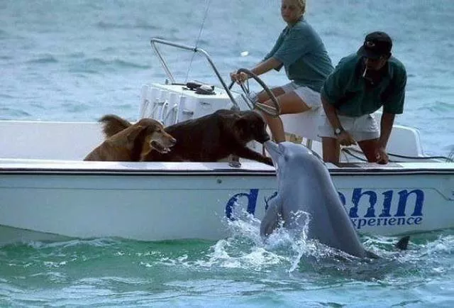 The best photos taken ever - #45 The best photos taken ever - #45