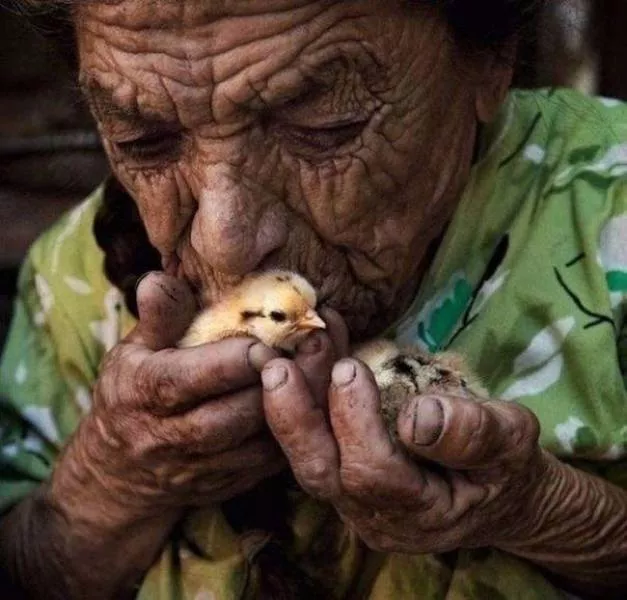 The best photos taken ever - #46 The best photos taken ever - #46