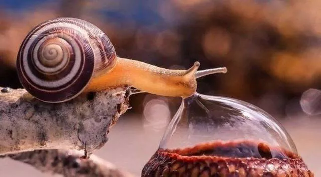 The best photos taken ever - #48 The best photos taken ever - #48