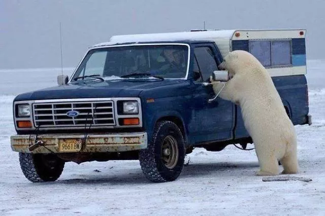 Les meilleures prises de photos jamais vus - #54 