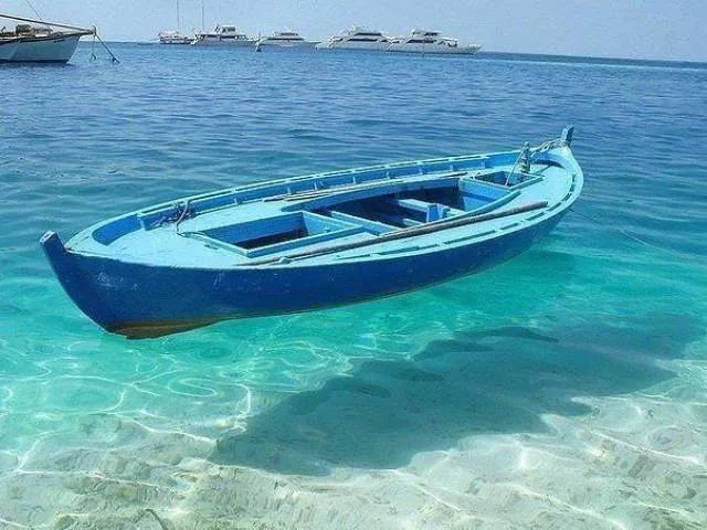 Les meilleures prises de photos jamais vus - #56 