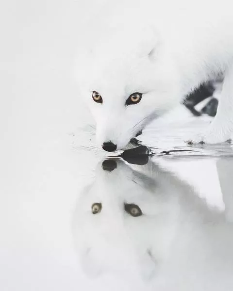 La nature en islande - #1 