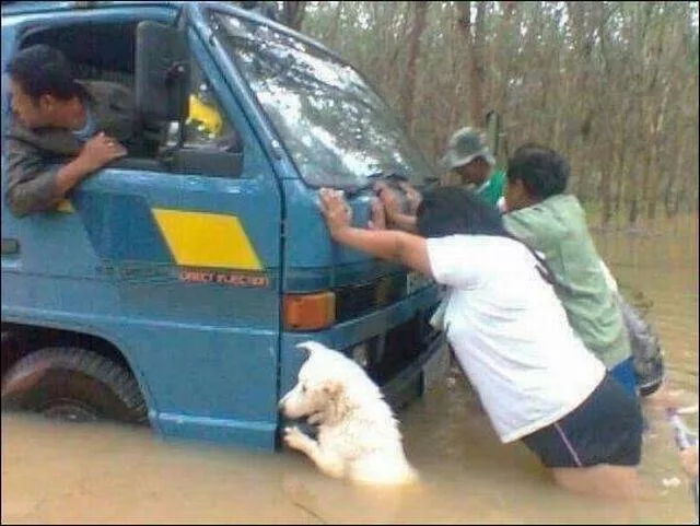 Picdump 189 - #19 
