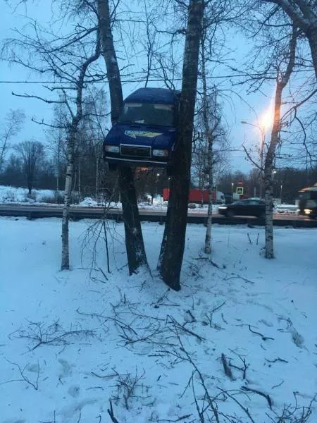 Picdump 189 - #5 
