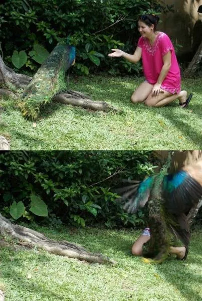 Picdump 189 - #53 