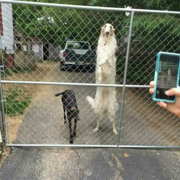 Picdump 190 - #16 