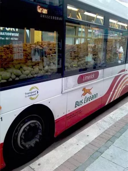 Picdump 190 - #31 