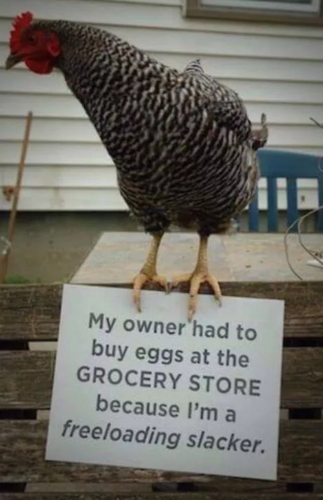 Picdump 190 - #4 