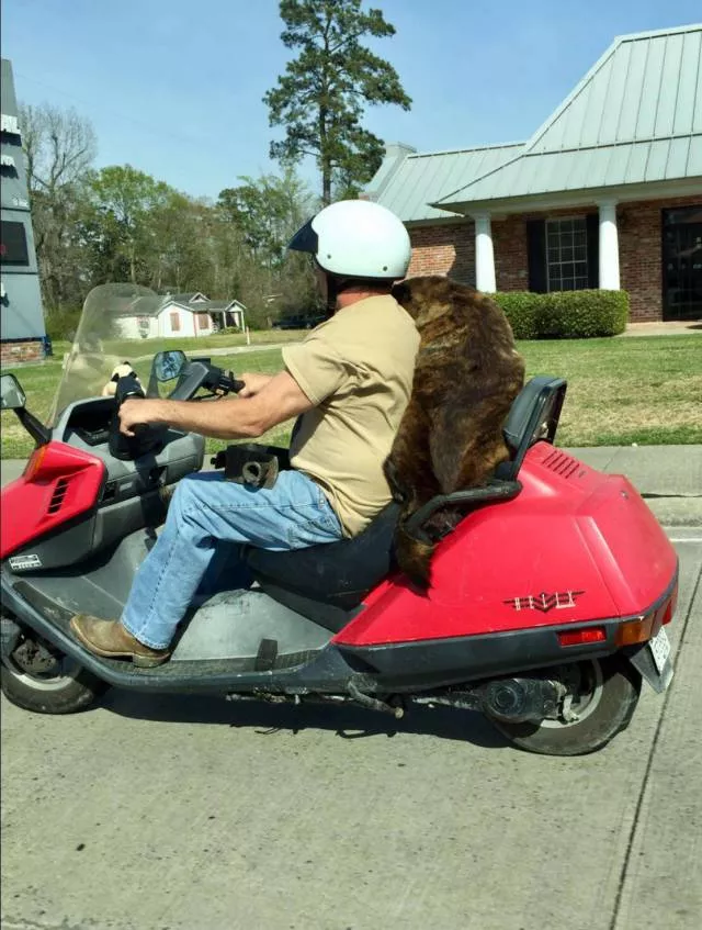 Picdump 190 - #9 