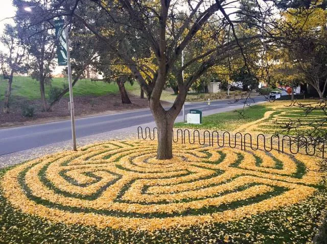 Picdump 191 - #24 
