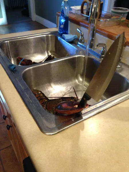 Picdump 191 - #34 