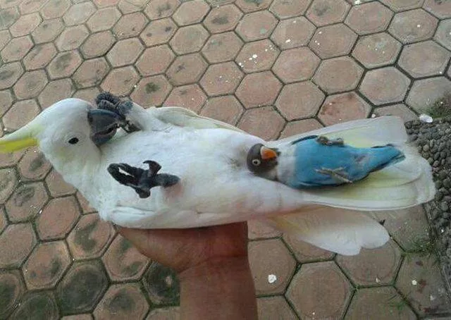 Picdump 192 - #35 