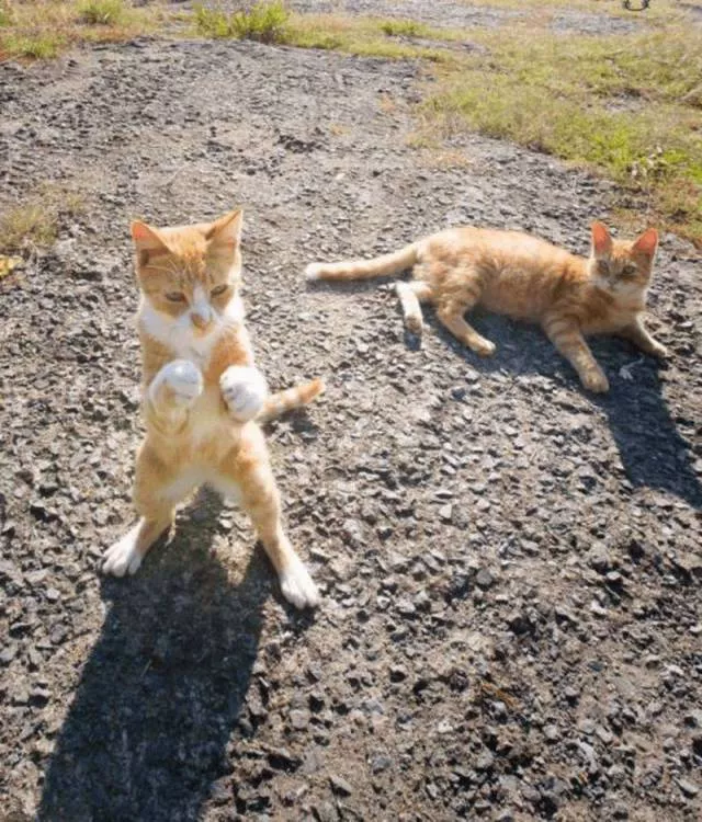 Picdump 192