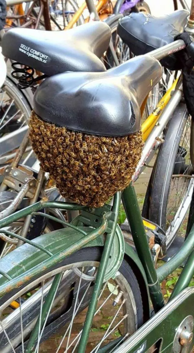 Picdump 192 - #80 