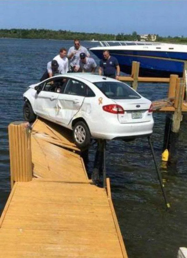 Picdump 193 - #17 
