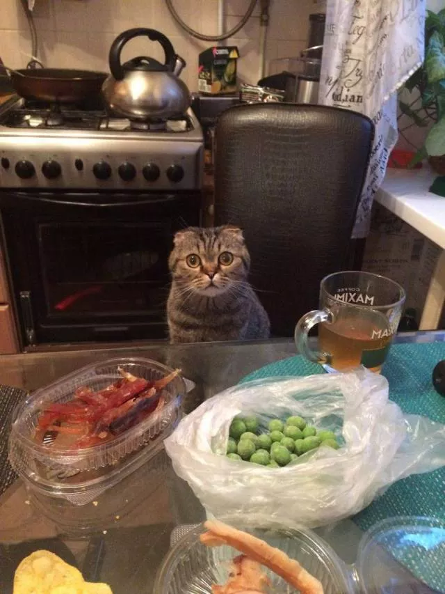 Picdump 193 - #31 