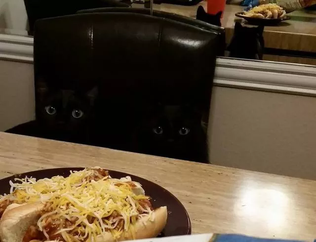 Picdump 193 - #41 