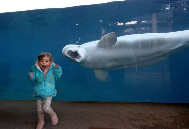 Picdump 193 - #82 