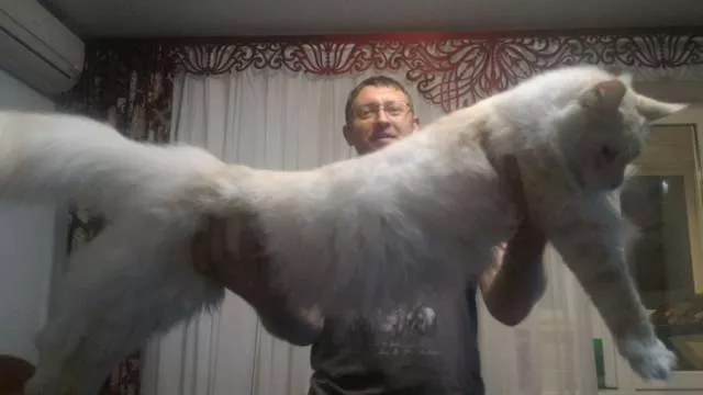 Picdump 193 - #87 