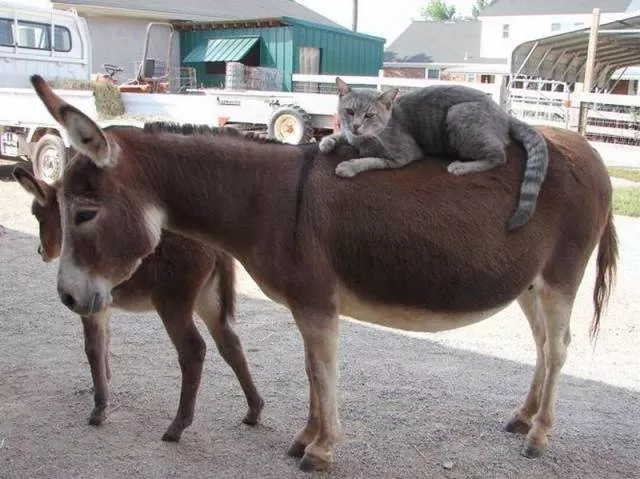 Picdump 45 - #26 