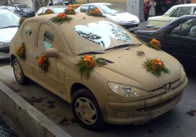 Picdump 45 - #29 