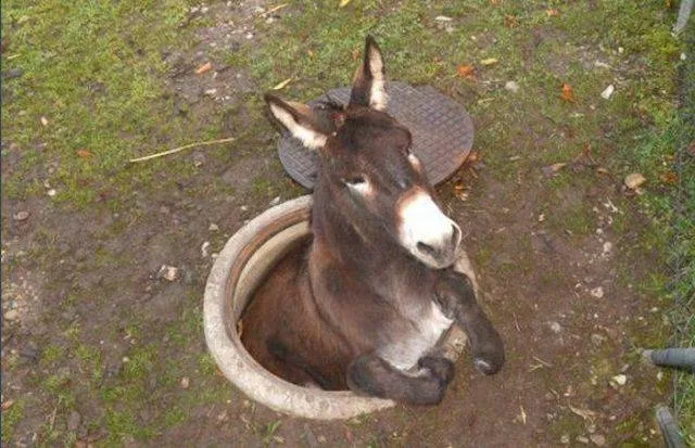 Picdump 45 - #34 