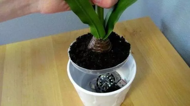 The best hiding places ever seen - #13 