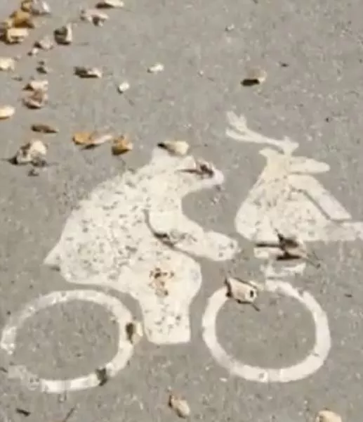 It only happens in canada - #12 