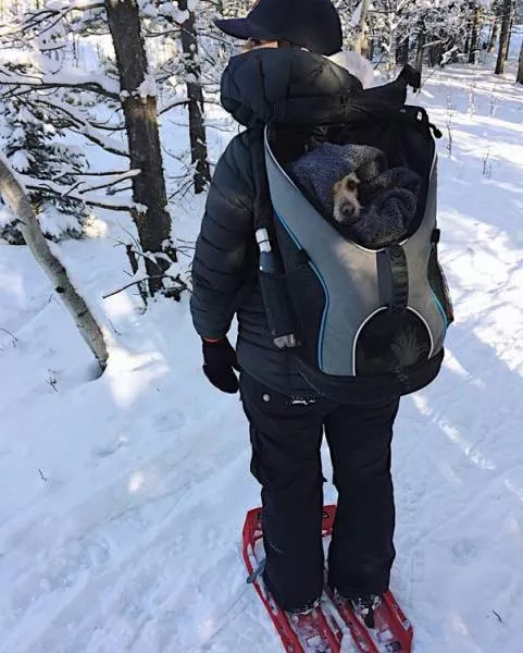 It only happens in canada - #20 