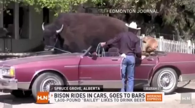 It only happens in canada