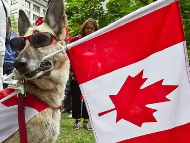 Ca narrive quau canada - #25 