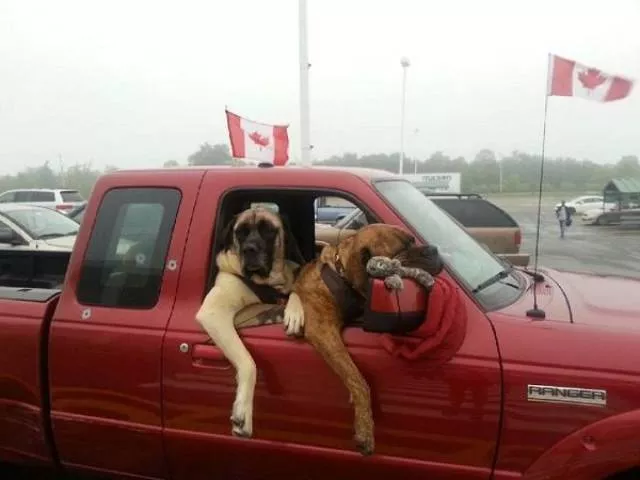 Ca narrive quau canada - #37 