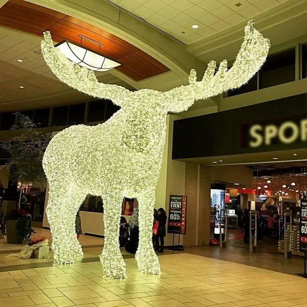 It only happens in canada - #5 