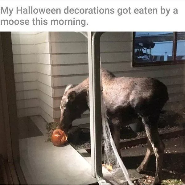 It only happens in canada - #6 