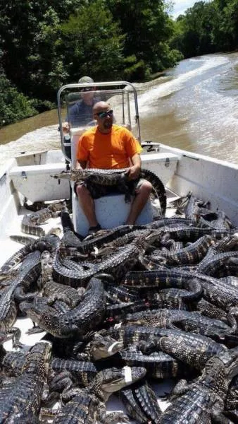 The most shocking photos - #16 