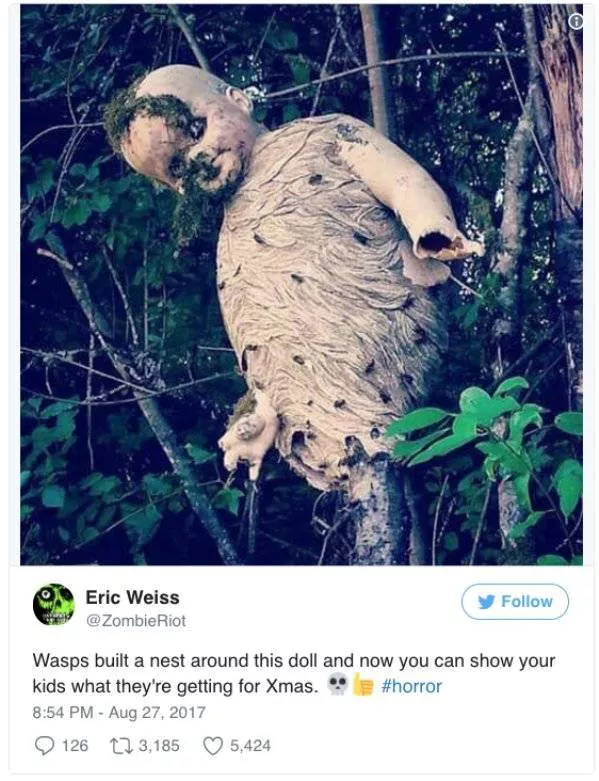 The most shocking photos - #23 
