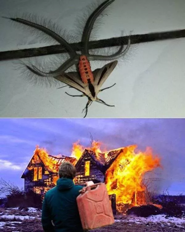 The most shocking photos - #27 