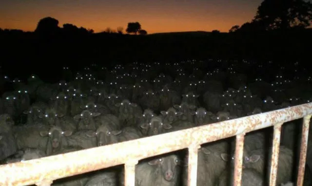 The most shocking photos - #8 